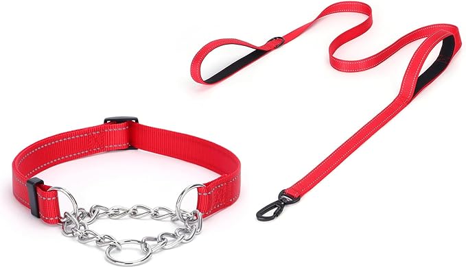 Martingale Dog Collar with Stainless Steel Chain and Leash Set, Martingale Collar with Reflective, 5FT Double Handle Dog Leash Padded, Adjustable for Medium Large Dogs (S, Red)