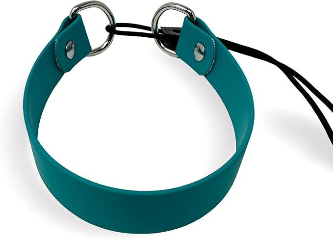 SparkDog Collars 1” Quick Adjust E-Collar Replacement Strap – Quick-Adjust, Waterproof & Durable – Fits Dogtra & Most Brands – Made in USA for Working Dogs, Hunters & Pet Owners (Teal, Standard Beta)