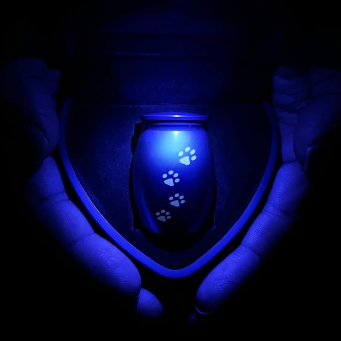 Small Pet Urns for Dogs Ashes, Mini Cat Urn for Ashes Keepsake, Tiny Cremation Animal Memorial Necklace ERN Earns Urnas Loss of Dog Cat Gifts, Pet Paw Print Urn - Heart Box with Blue Light