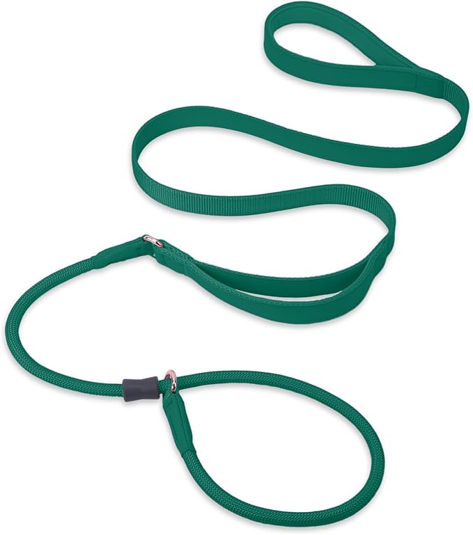 Slip Lead Dog Leash, Dog Training Leash with Double Handle, Soft Leather Slip Leash and Collar, Heavy Duty Nylon Dog Lead, No Pull Walking for Medium Large Small Dogs 5ft Dark Green