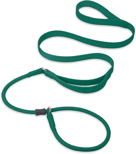 Slip Lead Dog Leash, Dog Training Leash with Double Handle, Soft Leather Slip Leash and Collar, Heavy Duty Nylon Dog Lead, No Pull Walking for Medium Large Small Dogs 5ft Dark Green