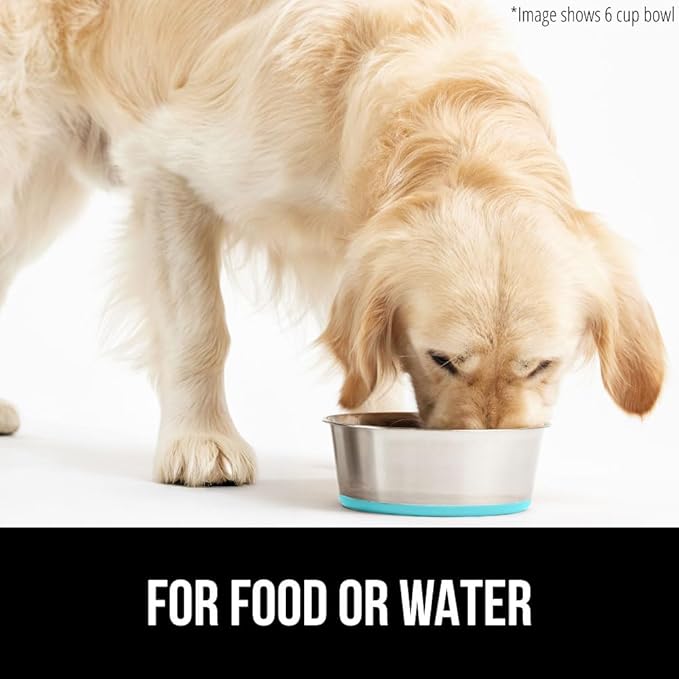GORILLA GRIP Dog Bowl, Holds 8 Cups (64 fl oz), Food Grade 304 Stainless Steel Food and Water Bowl for Feeding Dogs and Cats, BPA Free Rubber Base, Easy Clean, Dishwasher Safe Rust Resistant Turquoise