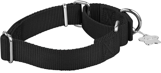 Martingale Dog Collar, Escape-Proof and No Slip Design, Heavy-Duty Nylon with Metal Buckle, Adjustable for Small, Medium & Large Dogs, Colorfast for Training, Daily Walks (Classic Black, M)
