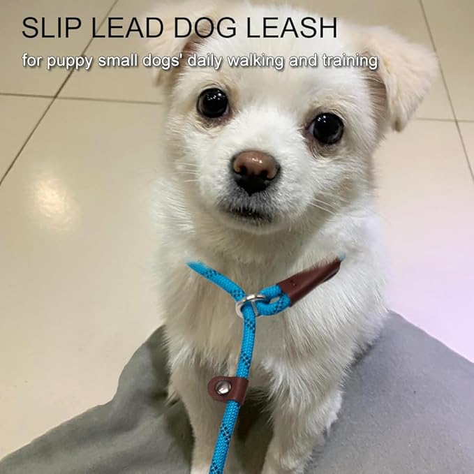 7FT Slip Lead Dog Leash for Small Dogs, No Pull Puppy Training Lead, Lightweight Sturdy Pet Slip Rope Leash Easy On/Off, Blue