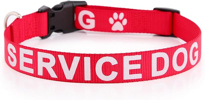 Plutus Pet Service Dog Collar,Printed in Large Letters on Nylon Webbing,Prevents Accidents by Warning Others of Your Dog in Advance,Two Colors,Four Sizes,Neck 14-20 inch,Medium,Red