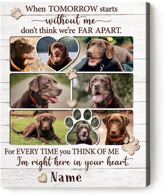 Benicee Shop In Memory Of Pet Memorial Photo Collage, Personalized Dog Loss Gift, Sympathy Gifts for Pet Lovers, Changing Colorful Background to Paint Loving Memory, Ideal Cat Mom Gifts (BG2)