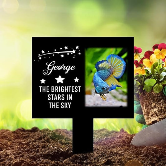 Personalized Fish Memorial Stake Custom Fish Photo The Brightest Stars in The Sky Metal 12x12 inch Pet Grave Marker Fish Loss Gift Sympathy Gift for Fish Lover (Style 2)
