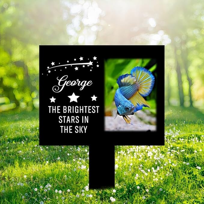 Personalized Fish Memorial Stake Custom Fish Photo The Brightest Stars in The Sky Metal 12x12 inch Pet Grave Marker Fish Loss Gift Sympathy Gift for Fish Lover (Style 2)