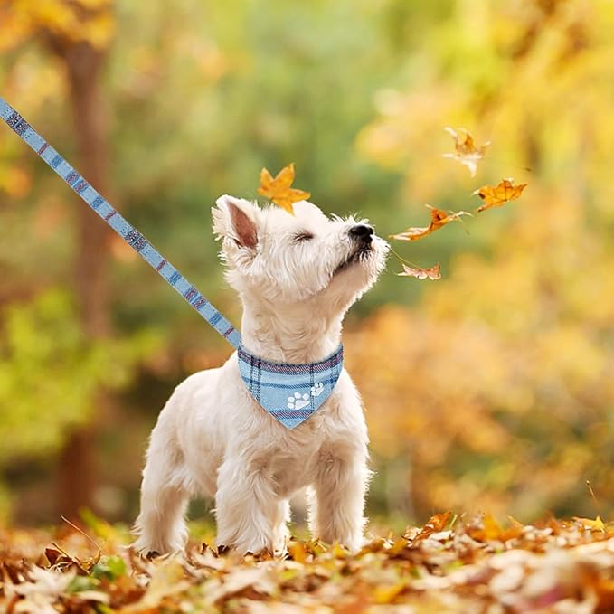 EXPAWLORER Puppy Collar and Leash Set - Embroidery Pawprints Plaid Dog Collar and Dog Leash Set, Bow Tie and Bandana Dog Collar with Bell, Cute Collar and Leash for Dogs Cats Outdoor Walking, Blue S