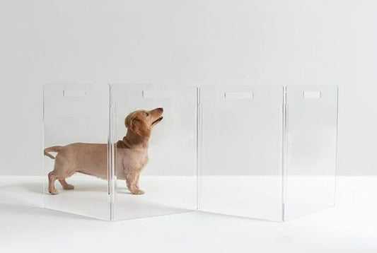 Hiddin Clear Acrylic Dog Gate - Low Zig Zag Clear Pet Gate for Home 4 Panels - Sturdy Free-Standing Design - Modern Acrylic Dog Pen - Transparent Pet Gates for Home - Safe & Stylish