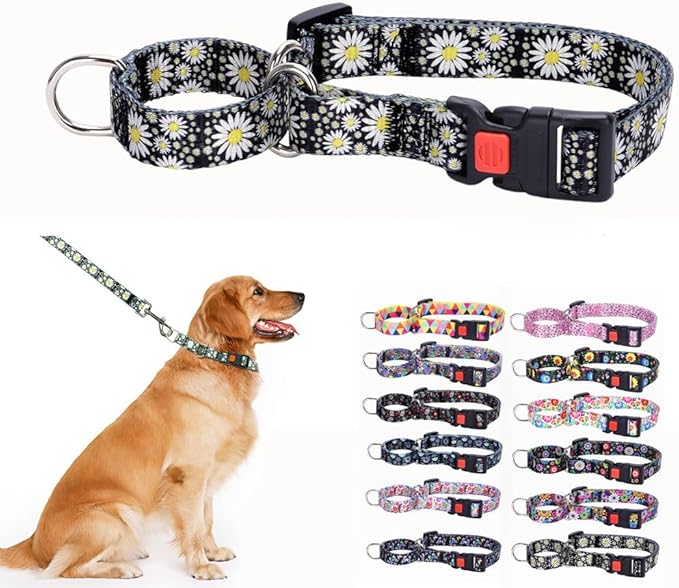 Martingale Collar for Medium Dogs, No Slip Escape Proof Limited Choke Pinch Pet Collars Quick Release Buckle with Lock for Small Medium Large Breed Dogs, White Daisy M