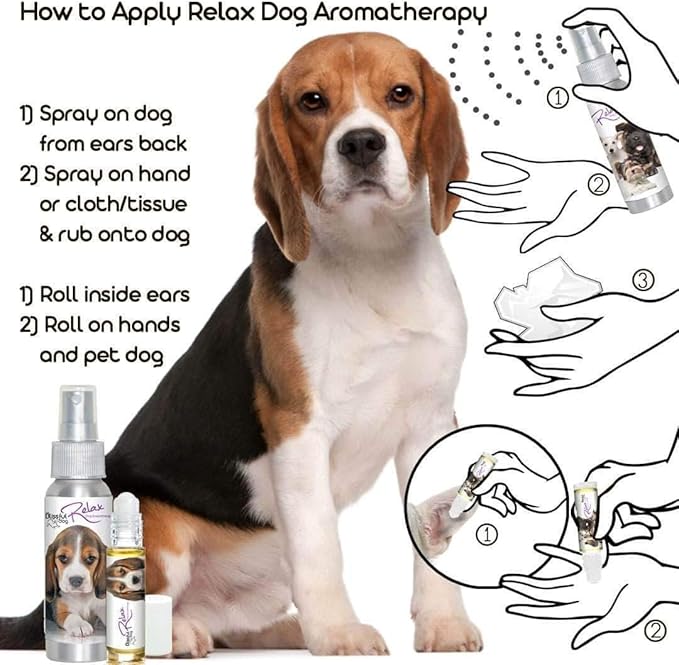 The Blissful Dog Beagle Relax Dog Aromatherapy Spray for Your Dog's Anxiety