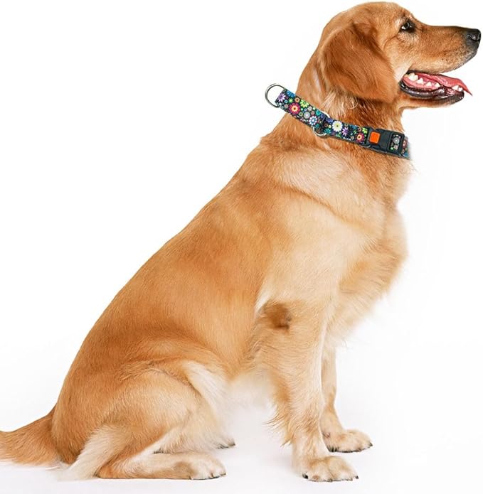 Martingale Dog Collars for Small Dogs, No Slip Escape Proof Limited Choke Pinch Pet Collars Quick Release Buckle with Lock for Small Medium Large Breed Dogs, Colorful Flowers S