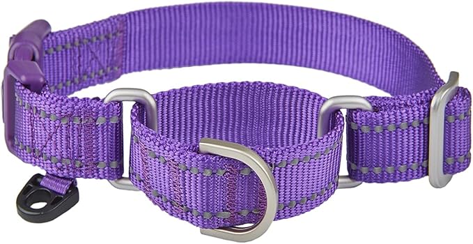 Reflective Martingale Collar for Dogs with Quick Snap Buckle Anti-Pull Nylon Safe Slip Collars for Easy Walking,Purple,Medium