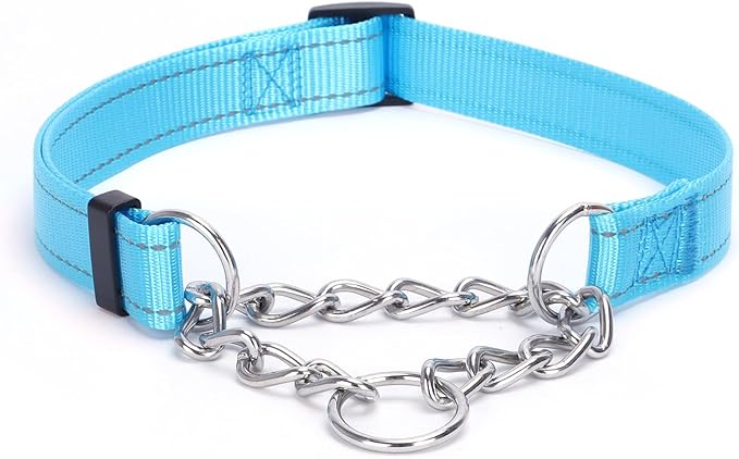 Martingale Dog Collar with Stainless Steel Chain and Leash Set, Martingale Collar with Reflective, 5FT Double Handle Dog Leash Padded, Adjustable for Medium Large Dogs (Light Blue Collar, M)