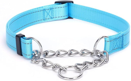 Martingale Dog Collar with Stainless Steel Chain and Leash Set, Martingale Collar with Reflective, 5FT Double Handle Dog Leash Padded, Adjustable for Medium Large Dogs (Light Blue Collar, M)