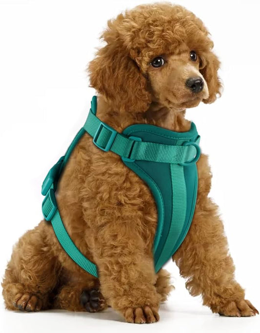 Wisedog No Pull Lightweight Dog Vest Harness with Soft and Comfortable Cushion, Breathable Mesh, for Small Medium Large Dogs Walking (S(Neck: 9.84"-14.17";Chest: 14.17"-22.05"), Emerald Green)