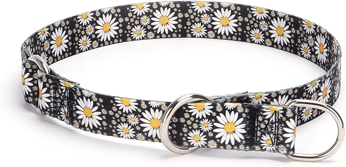 Training Dog Collar, No Pull Martingale Collar, Slip Collar with Slidable Stop Ring for Small, Medium, Large Dogs (L, Daisy)