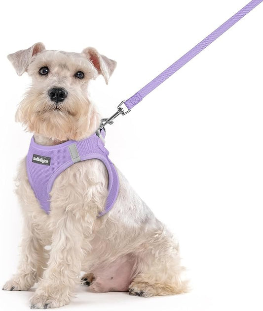 rabbitgoo Dog Harness Medium Sized and Leash Set, Step in Soft Light Puppy Vest, Breathable Mesh Pet Harness, Reflective for Safe Easy Walking, Light Purple XXL