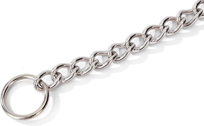 Dog Choke Chain Collar, 304 Stainless Steel Training Martingale Collar,Slip Link Training Heavy Duty Dog Collar for XXS XS Small Medium Large Big XL Breed Dogs 24 in, 3.5 mm
