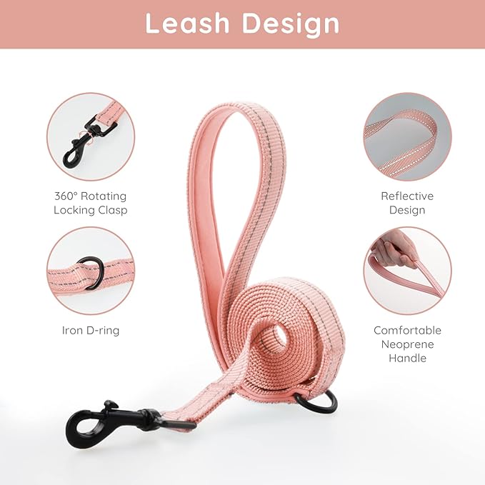 BELLA & PAL Step in Vest Harness for Small and Medium Dogs, No Pull Small Dog Harness with Leash Set, Comfortable Air Mesh Dog Vest Harness with Reflective Strip (Coral Pink, XXS)