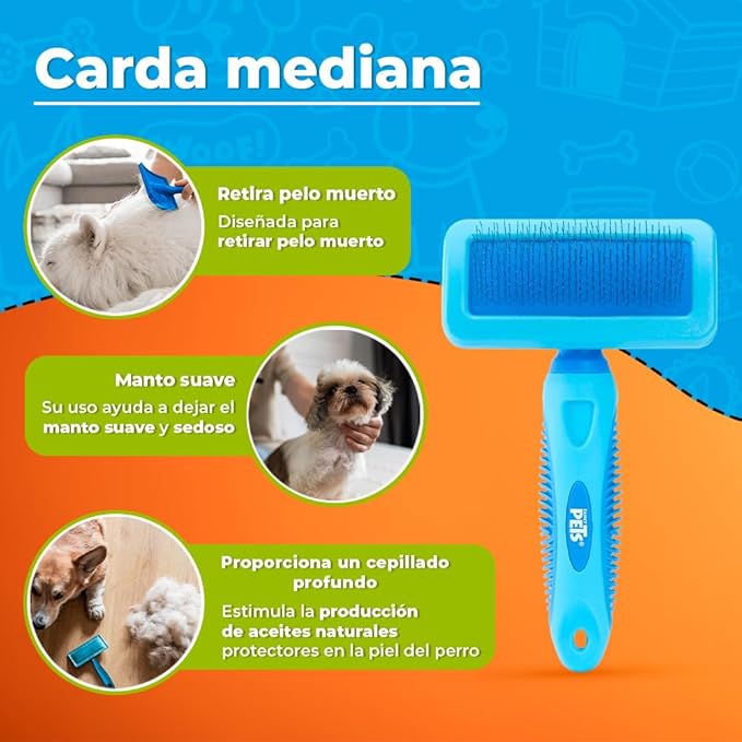 Fancy Pets Dog Card Medium Blue