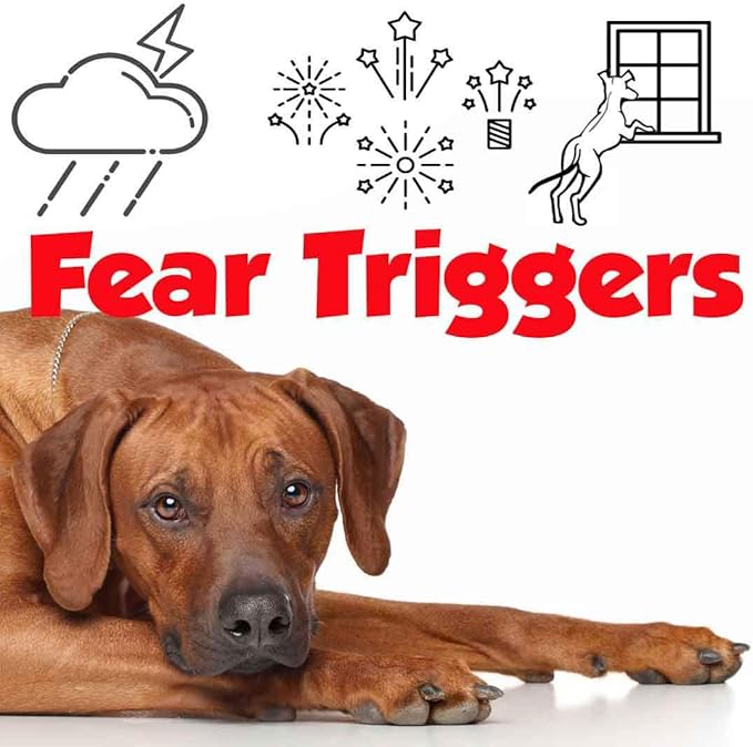 The Blissful Dog Rhodesian Ridgeback Relax Roll-ON Aromatherapy for Dogs - Anxiety Relief for Dogs