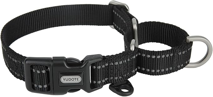Martingale Collar Reflective Nylon Collar with Safety Quick Release Buckle,Escape-Proof Anti-Pull for Small Medium and Heavy Duty Dogs(Bluack,L)