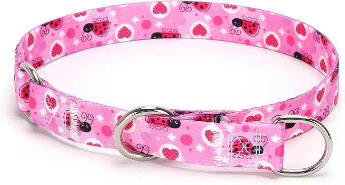 Training Dog Collar, No Pull Martingale Collar, Slip Collar with Slidable Stop Ring for Small, Medium, Large Dogs (NO10, L)