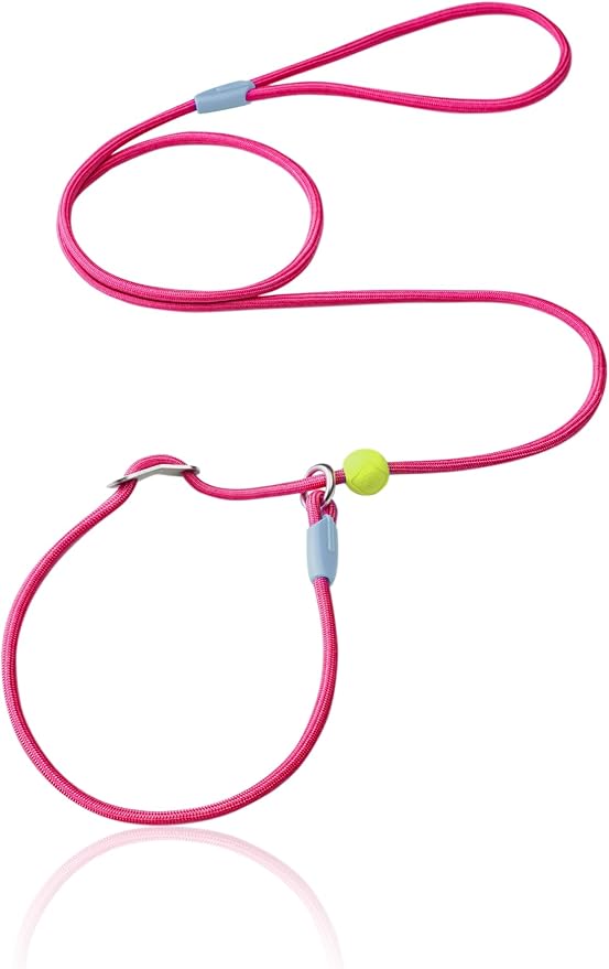 Slip Lead Dog Leash, Adjustable Slip Lead with Aviation Aluminum Anti-Choking Stopper, Lightweight Pet Training Lead