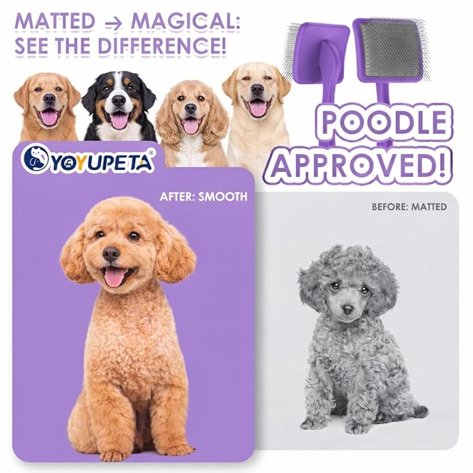 Large Slicker Brush for Dogs,Doodle Brush for Poodles, Goldendoodles, Labradoodle, Extra Long Pins for Detangling Matted Fur & Removing Tangle, Dog Grooming Kit with Wooden Handle. Purple