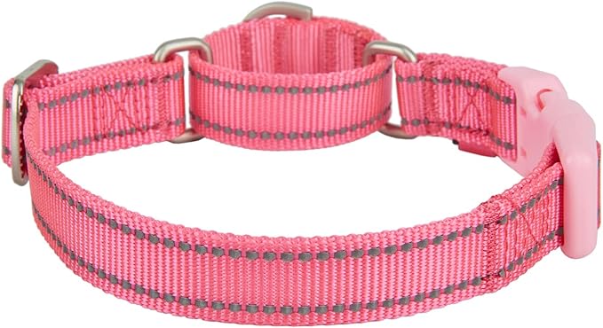 Martingale Collar Reflective Nylon Collar with Safety Quick Release Buckle,Escape-Proof Anti-Pull for Small Medium and Heavy Duty Dogs(Hotpink,M)