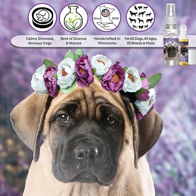 The Blissful Dog Mastiff Relax Roll-ON Aromatherapy for Dogs - Anxiety Relief for Dogs