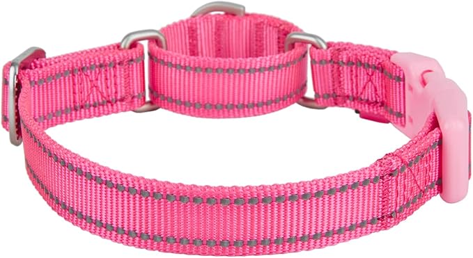 Reflective Martingale Collar for Dogs with Quick Snap Buckle Anti-Pull Nylon Safe Slip Collars for Easy Walking,Hot Pink,Small
