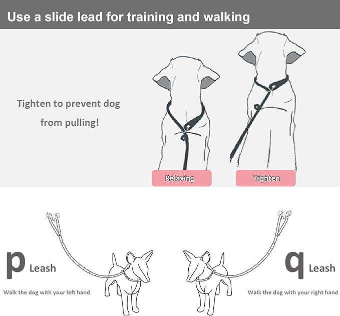 BTINESFUL 7ft Slip Lead Dog Leash, 1/4" Nylon Rope Dog Training Leash for Small Medium Dogs Outdoor No-Pull Walking, Behavior Training, 14+ Colors