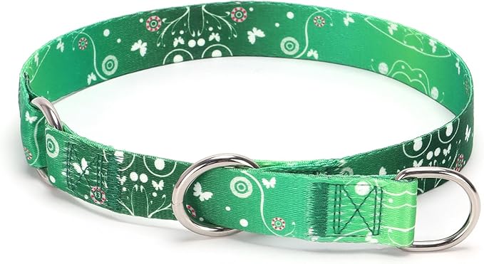 Training Dog Collar, No Pull Martingale Collar, Slip Collar with Slidable Stop Ring for Small, Medium, Large Dogs (NO2, L)