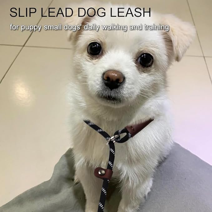 7FT Slip Lead Dog Leash for Small Dogs, No Pull Puppy Training Lead, Lightweight Sturdy Pet Slip Rope Leash, Black