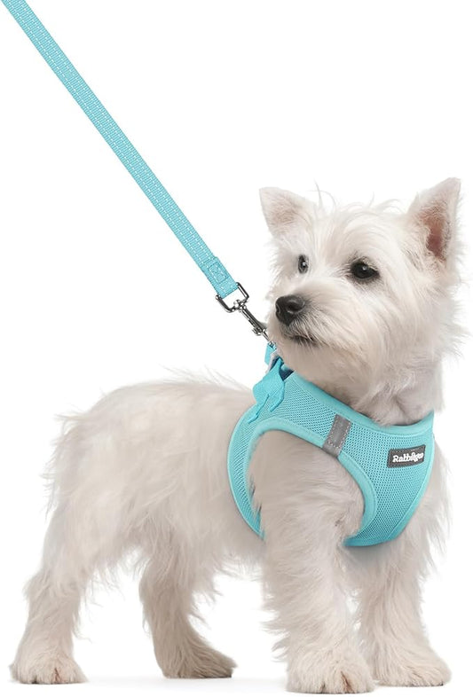 rabbitgoo Dog Harness Small Sized and Leash Set, Step in Soft Light Puppy Vest, Breathable Mesh Pet Harness, Reflective for Safe Easy Walking, Mint Blue S