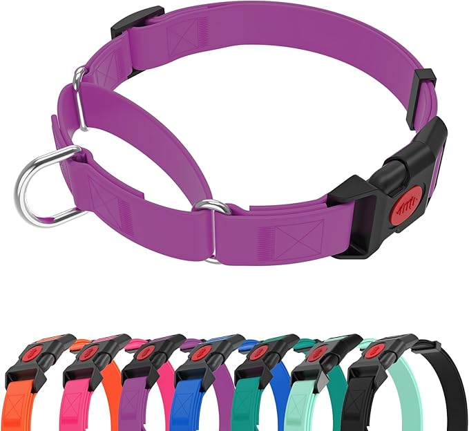 Waterproof Martingale Collar for Dogs,Easy to Clean Dog Collars with Safety Quick Release Buckle,Rubber Collar for Medium Large Dogs Walking Training (Purple, L (19.6-25.9inch))