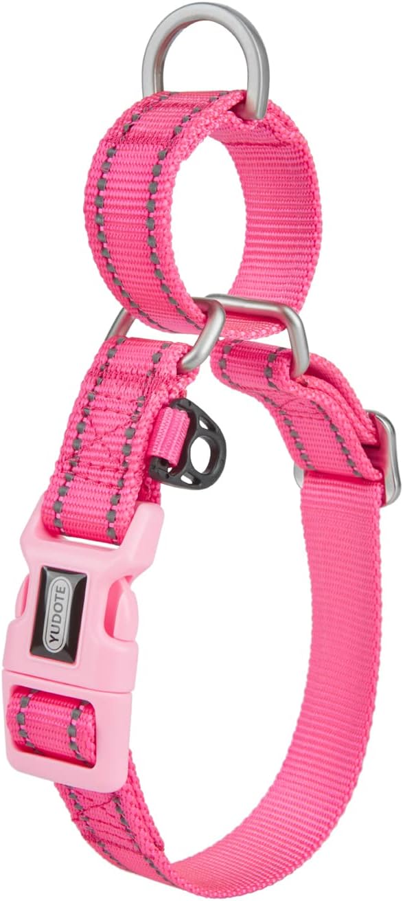 Reflective Martingale Collar for Dogs with Quick Snap Buckle Anti-Pull Nylon Safe Slip Collars for Easy Walking,Hot Pink,Small
