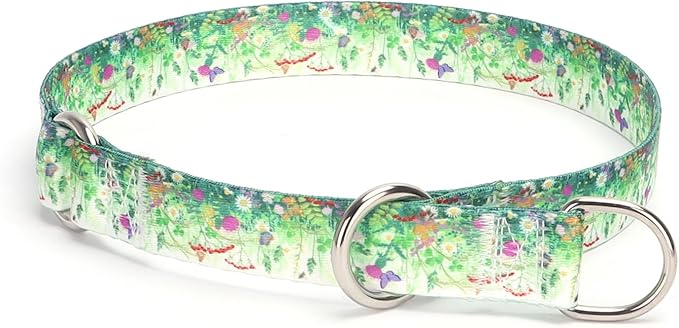 Training Dog Collar, No Pull Martingale Collar, Slip Collar with Slidable Stop Ring for Small, Medium, Large Dogs (L, Grass)