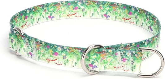 Training Dog Collar, No Pull Martingale Collar, Slip Collar with Slidable Stop Ring for Small, Medium, Large Dogs (L, Grass)