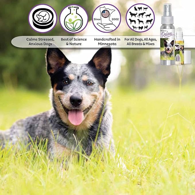 The Blissful Dog Blue Heeler Relax Dog Aromatherapy Spray for Your Dog's Anxiety
