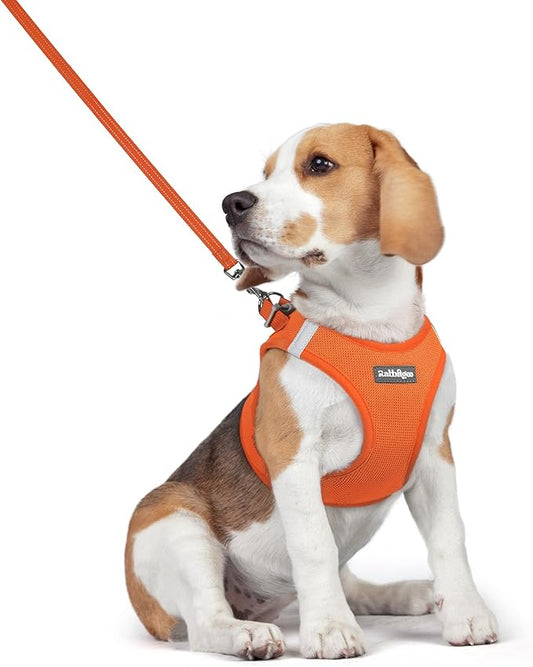 rabbitgoo Dog Harness Small Medium Sized and Leash Set, Step in Soft Light Puppy Vest, Breathable Mesh Pet Harness, Reflective for Safe Easy Walking, Orange L