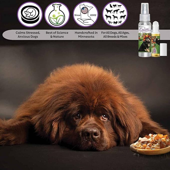 The Blissful Dog Tibetan Mastiff Relax Dog Aromatherapy Spray for Your Dog's Anxiety