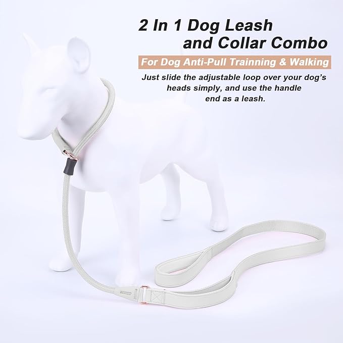 Slip Lead Dog Leash with Double Handle, Soft Leather Nylon Slip Collar, Heavy Duty Dog Rope Lead, No Pull Walking Leash for Medium Large Small Dogs, 6ft White