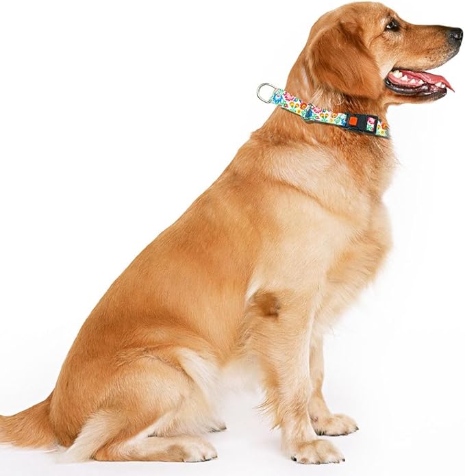 Dog Martingale Collars for Large Dogs, No Slip Escape Proof Limited Choke Pinch Pet Collars Quick Release Buckle with Lock for Small Medium Large Breed Dogs, Bromeliad White L