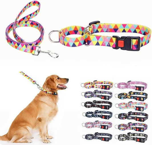 Martingale Collar and Leash for Dogs Large Medium Small Breed, Anti Slip No Escape Limited Choke Pinch Big Puppy Pet Collar and Leashs Quick Release Buckle with Lock (Colorful, L)