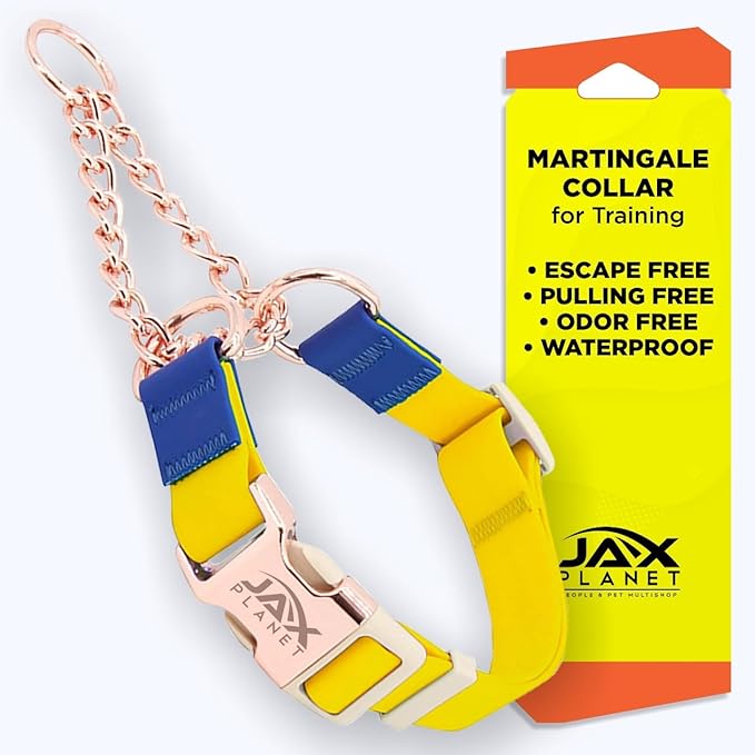 Jelly Waterproof Martingale Dog Collar, No Pull Nylon Collar with Alloy Metal Buckle & D-Ring for Outdoor Training and Walking, Anti Pull, Escape Free, One Time Adjustment - Yellow & Blue, L