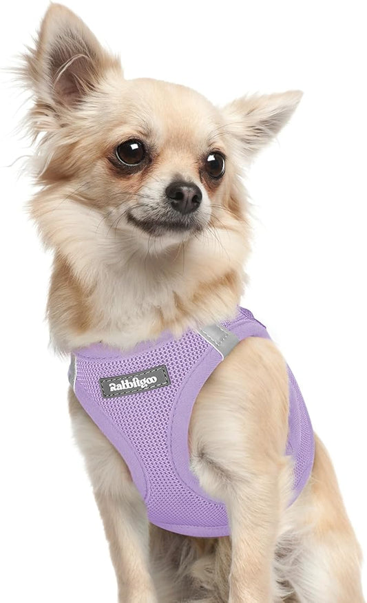 rabbitgoo Small Dog Harness, Step-in Soft Mesh Puppy Vest with Safety Buckle, Breathable Reflective Pet Harness for Extra Small Dogs, Light Purple XXXS